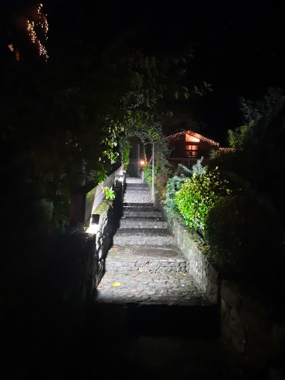 Гостевой дом Парк Шале Красная Поляна-168