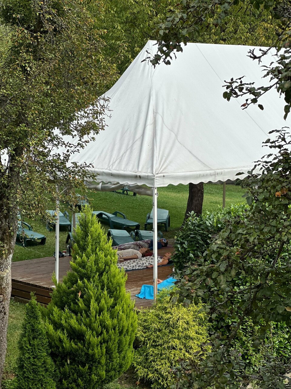 Гостевой дом Парк Шале Красная Поляна-235