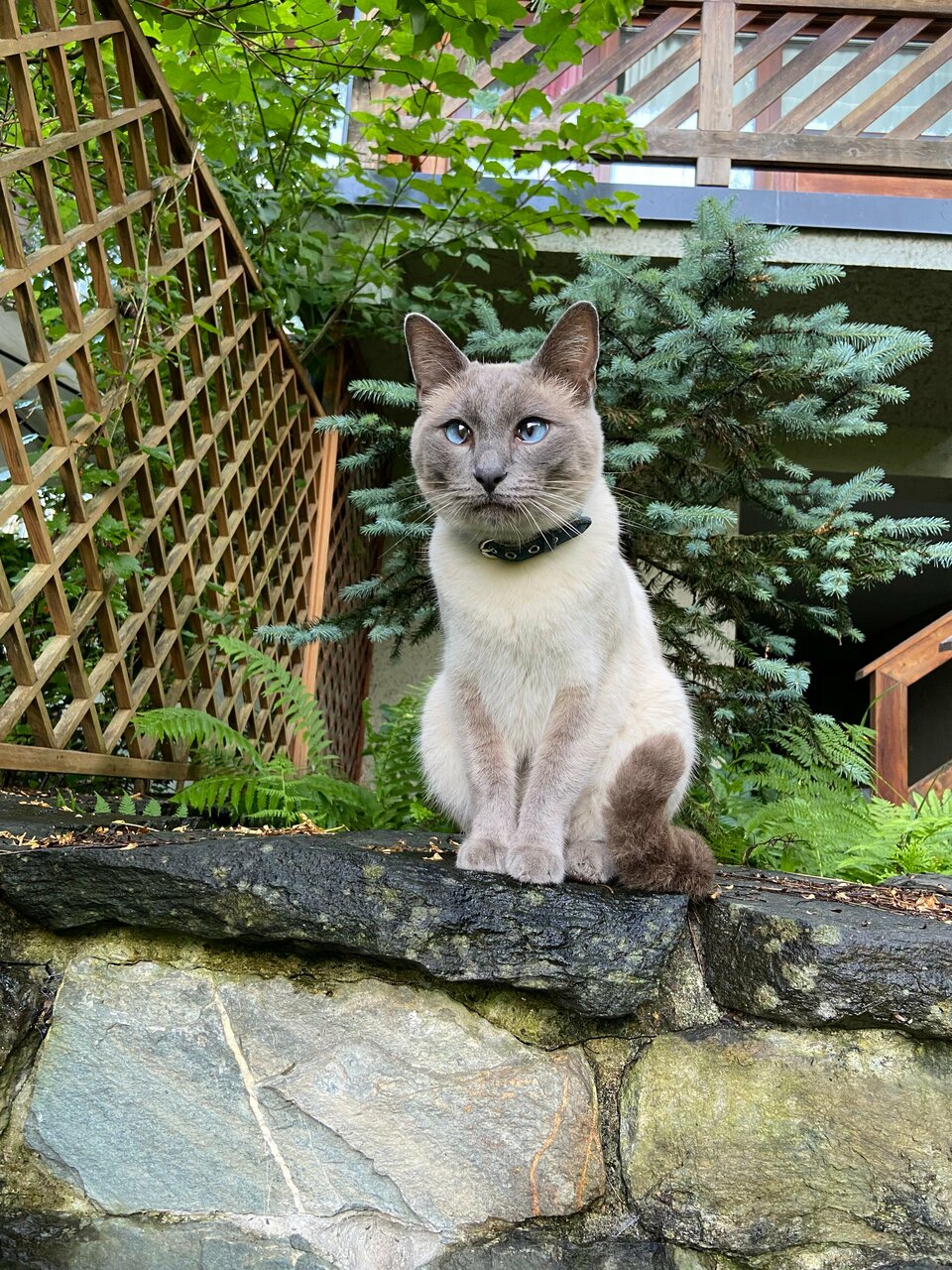 Гостевой дом Парк Шале Красная Поляна-117