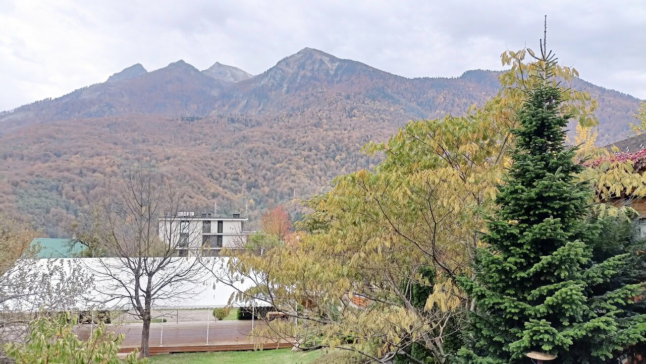 Гостевой дом Парк Шале Красная Поляна-160