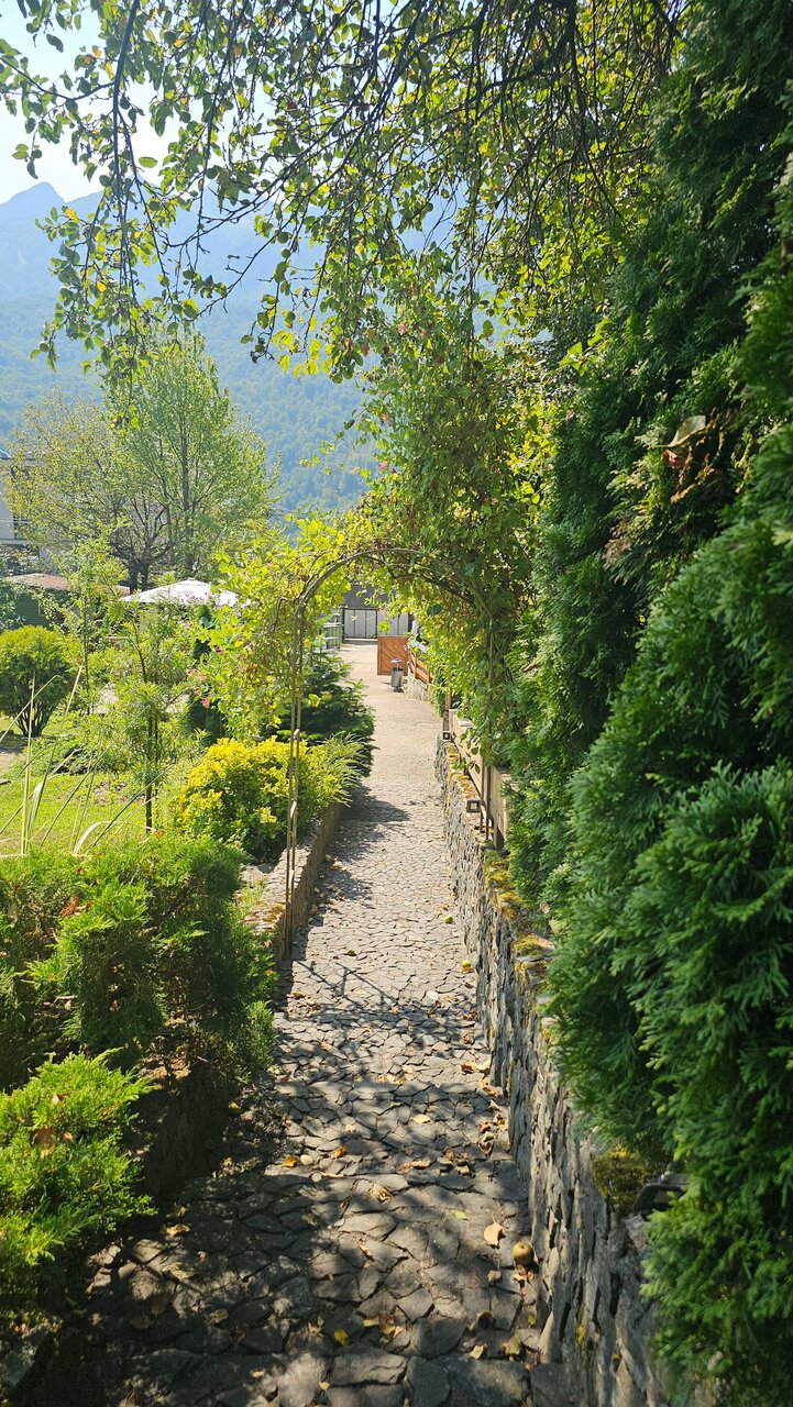 Гостевой дом Парк Шале Красная Поляна-204