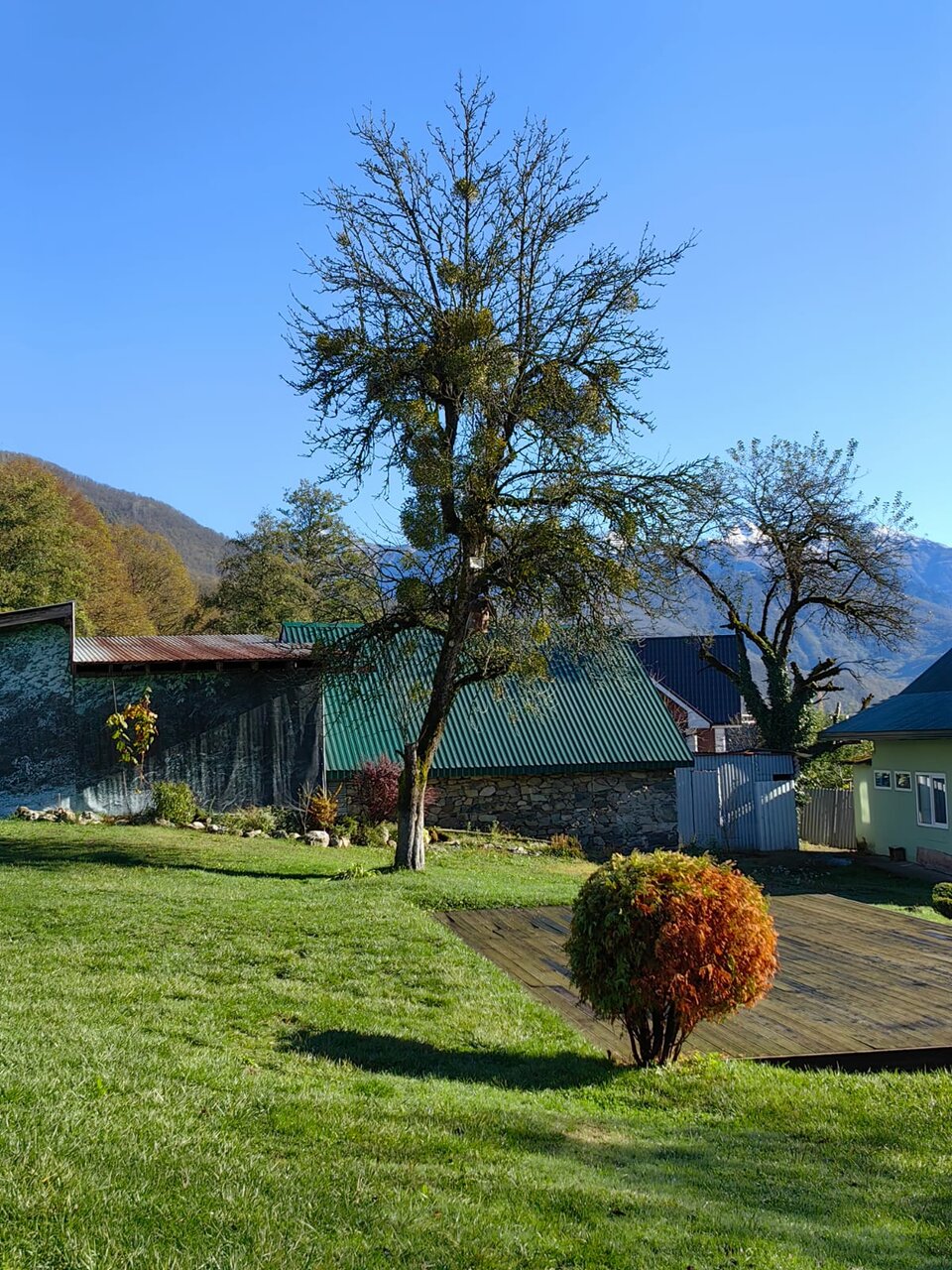 Гостевой дом Парк Шале Красная Поляна-176