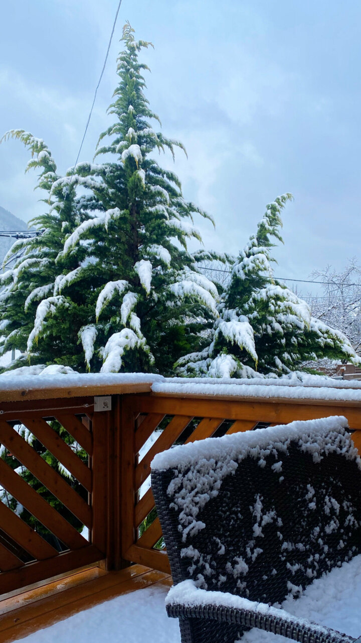 Гостевой дом Парк Шале Красная Поляна-195