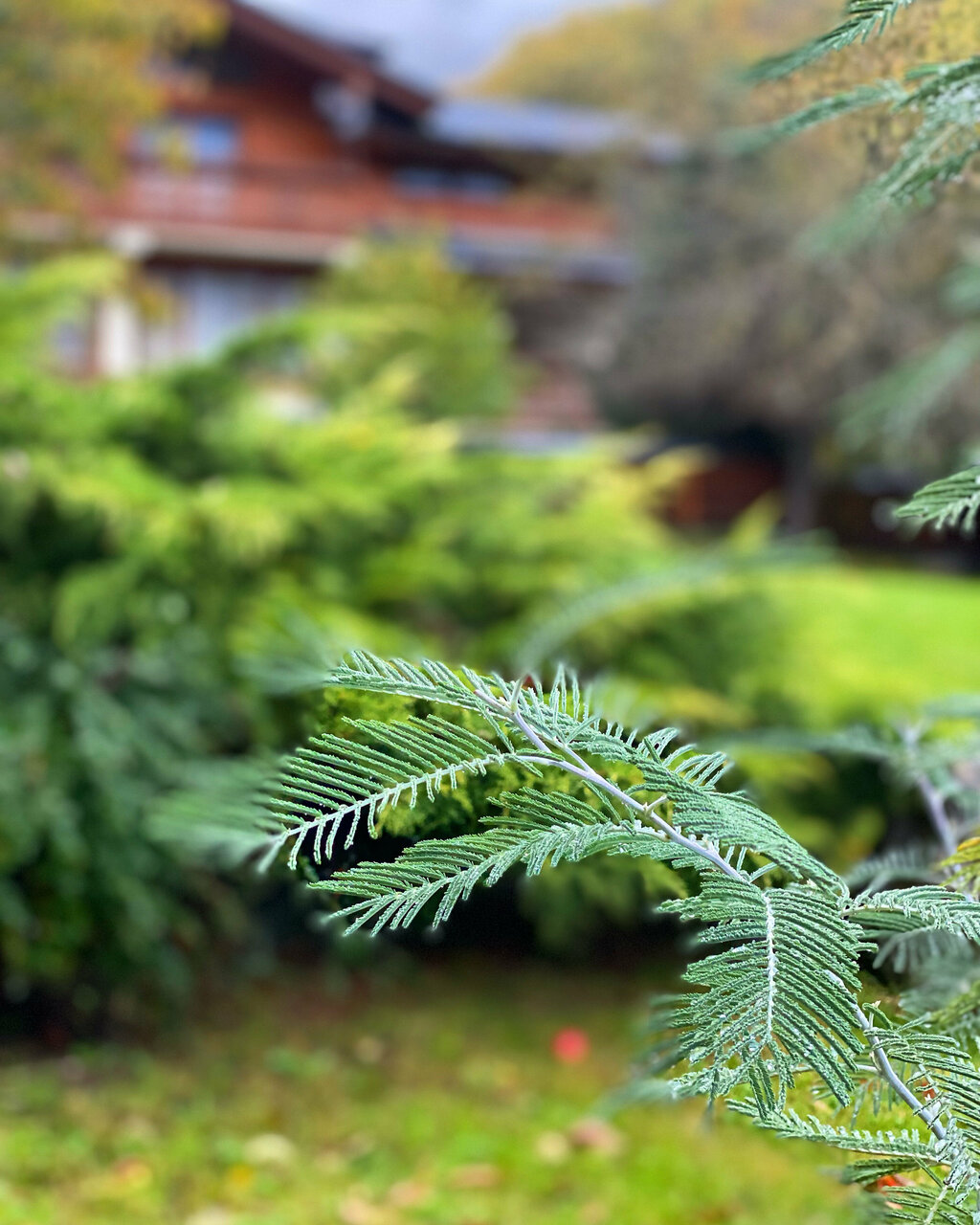 Гостевой дом Парк Шале Красная Поляна-133