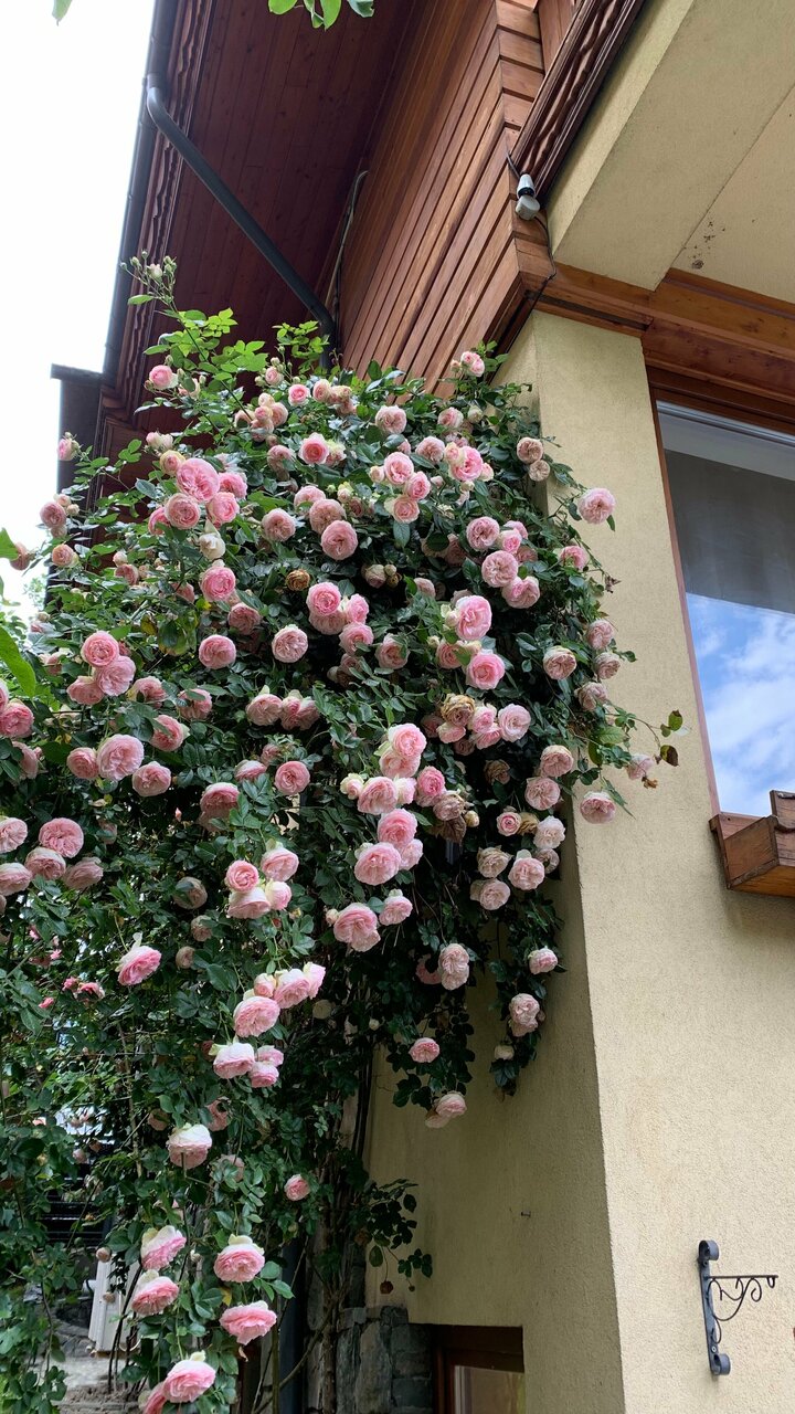 Гостевой дом Парк Шале Красная Поляна-127