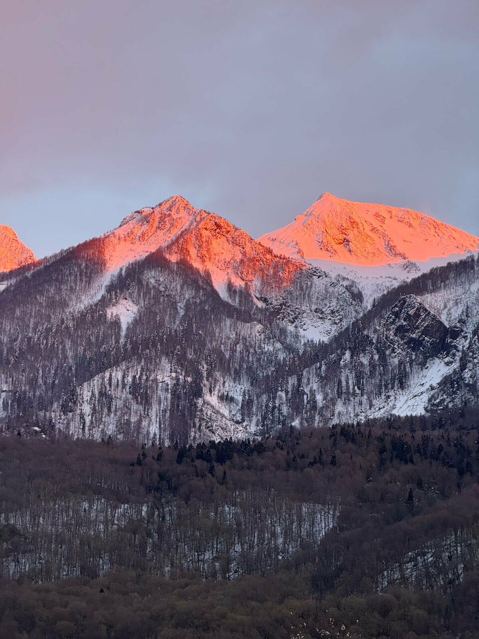 Гостевой дом Парк Шале Красная Поляна-171