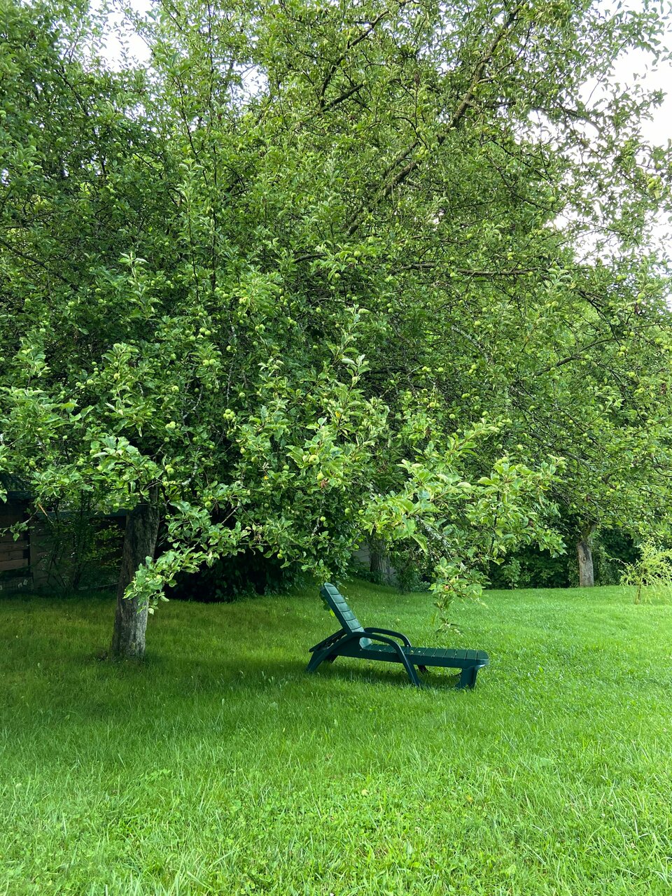 Гостевой дом Парк Шале Красная Поляна-121