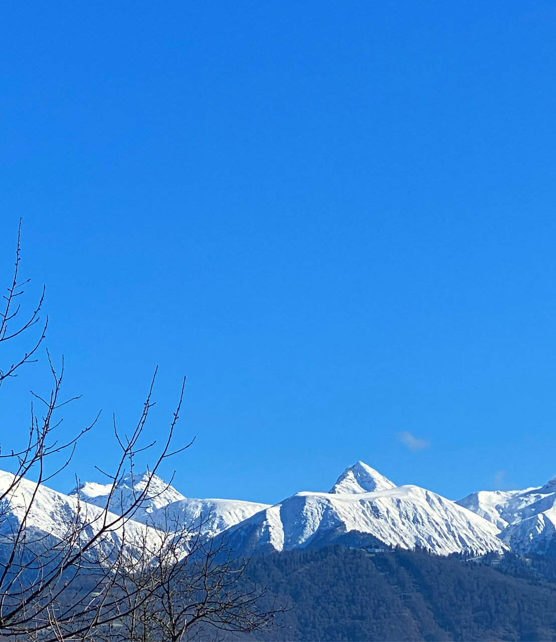 Гостевой дом Парк Шале Красная Поляна-216