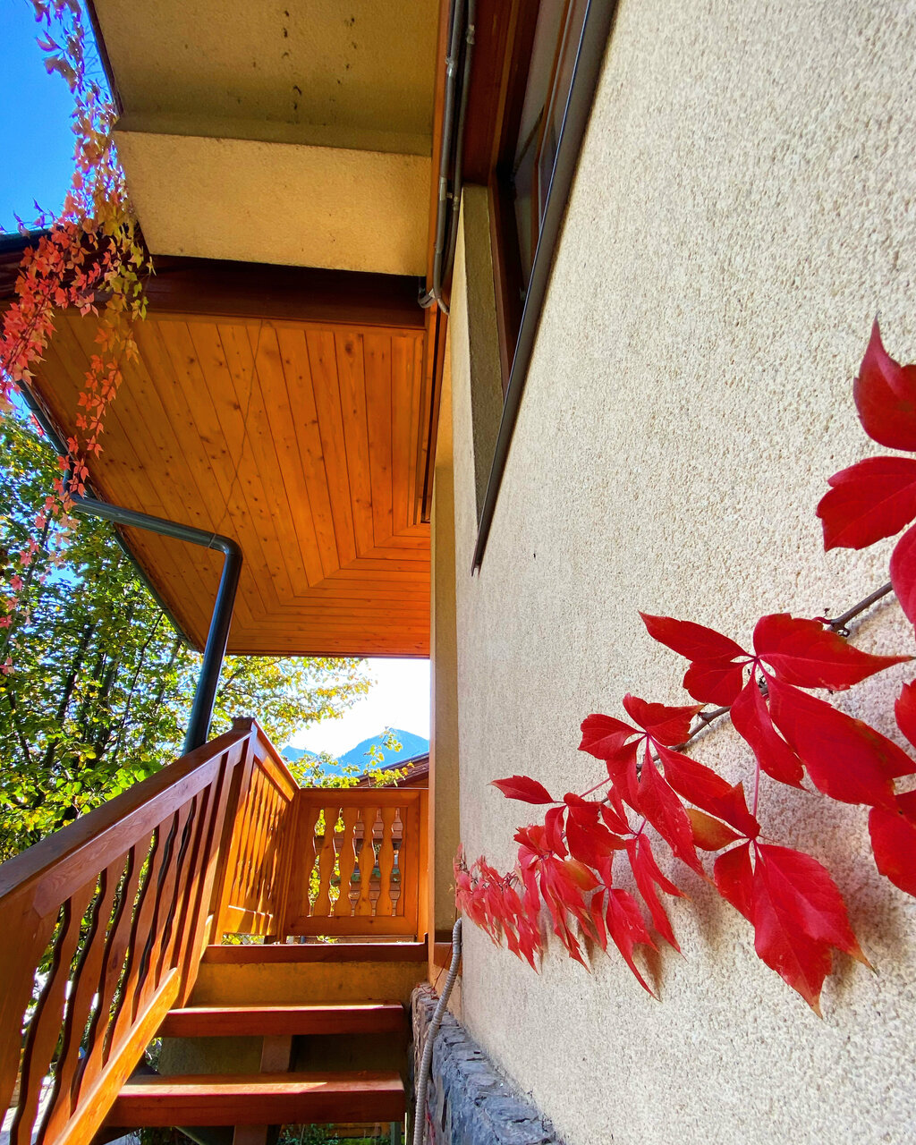 Гостевой дом Парк Шале Красная Поляна-149