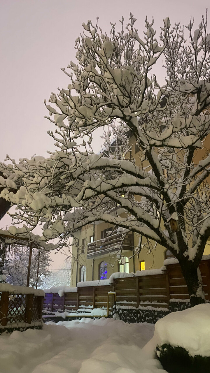 Гостевой дом Парк Шале Красная Поляна-218