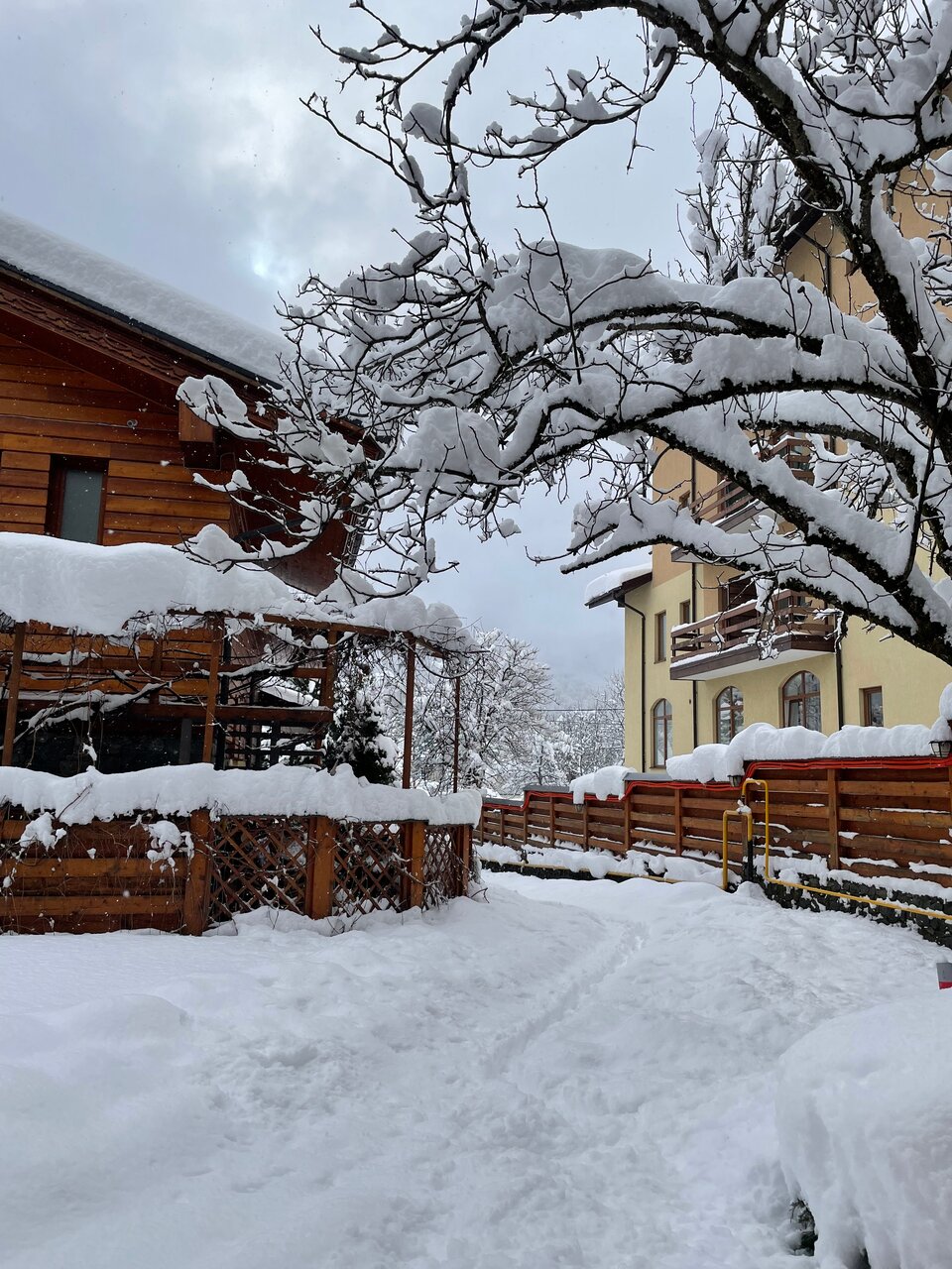 Гостевой дом Парк Шале Красная Поляна-152