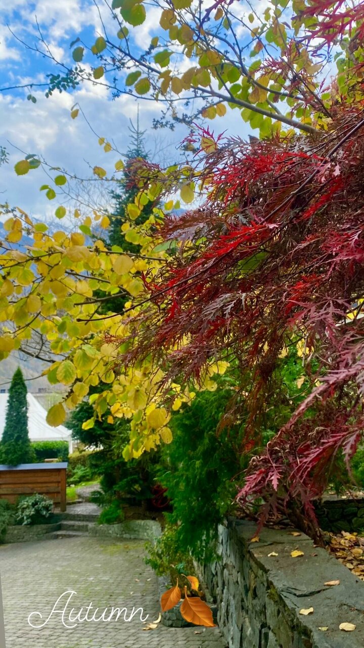 Гостевой дом Парк Шале Красная Поляна-126