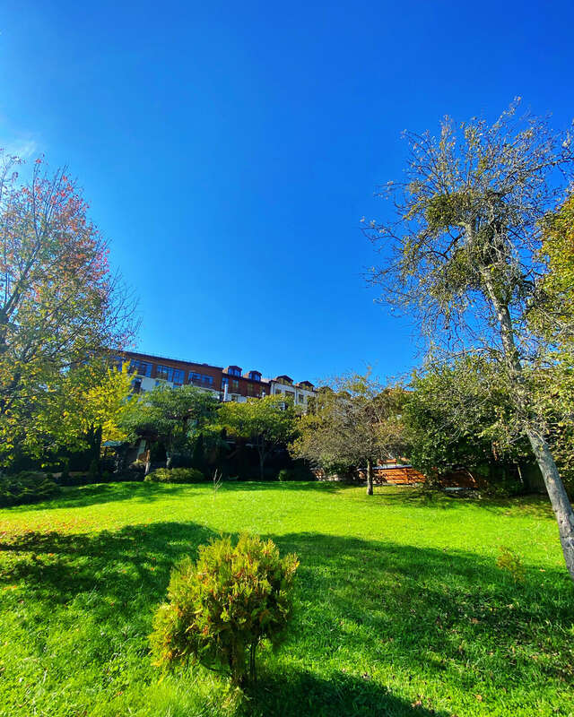 Гостевой дом Парк Шале Красная Поляна-174