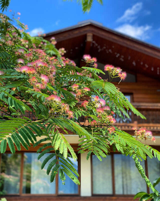 Гостевой дом Парк Шале Красная Поляна-109