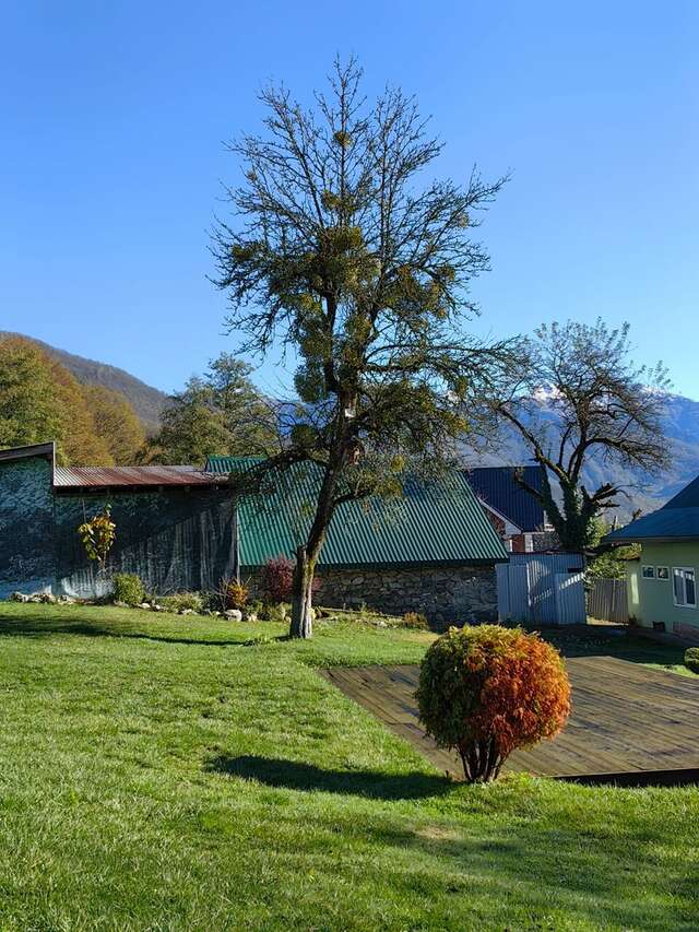 Гостевой дом Парк Шале Красная Поляна-175