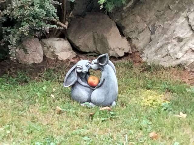 Гостевой дом Парк Шале Красная Поляна-110