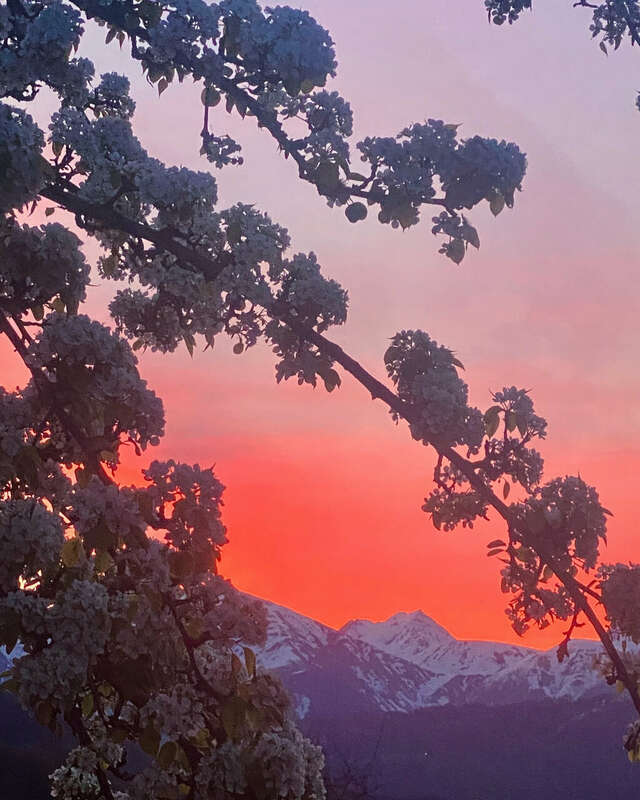 Гостевой дом Парк Шале Красная Поляна-166