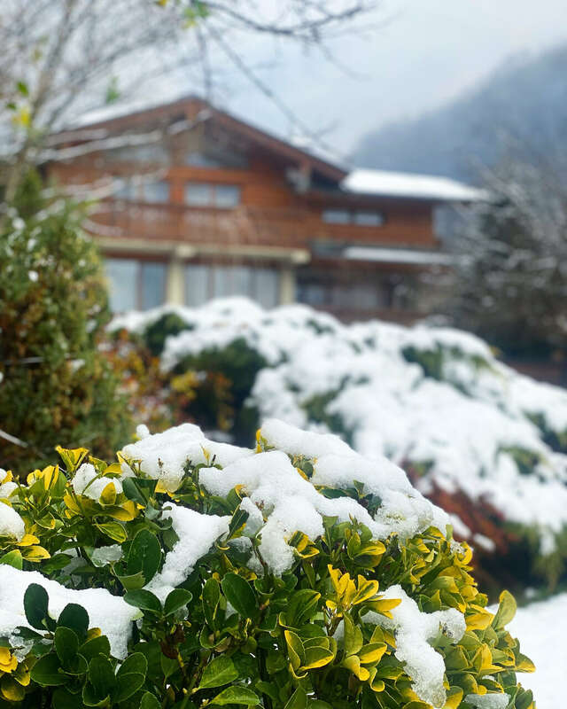 Гостевой дом Парк Шале Красная Поляна-119