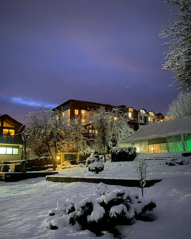 Гостевой дом Парк Шале Красная Поляна-241