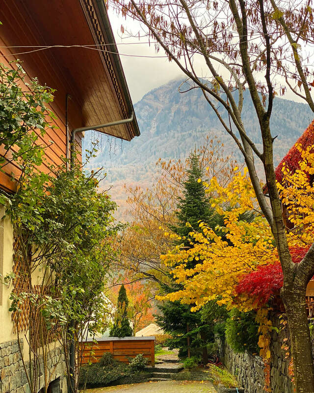 Гостевой дом Парк Шале Красная Поляна-247