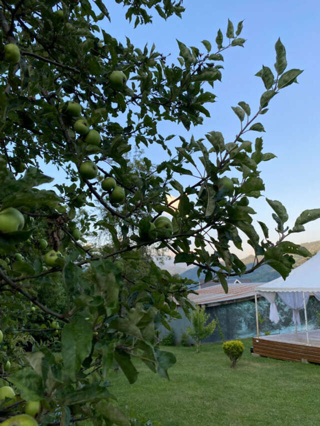 Гостевой дом Парк Шале Красная Поляна-193