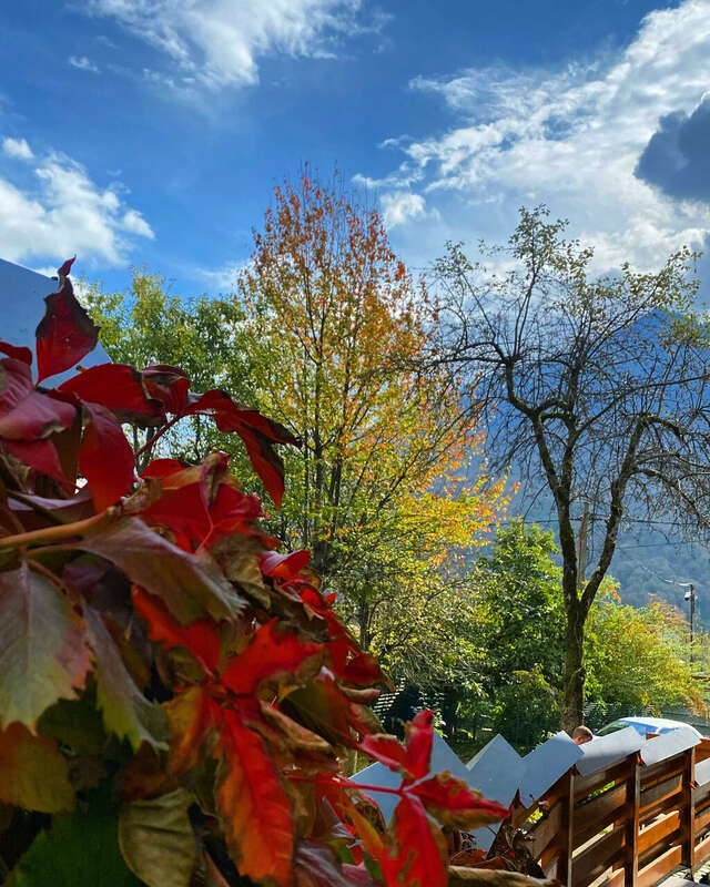 Гостевой дом Парк Шале Красная Поляна-179