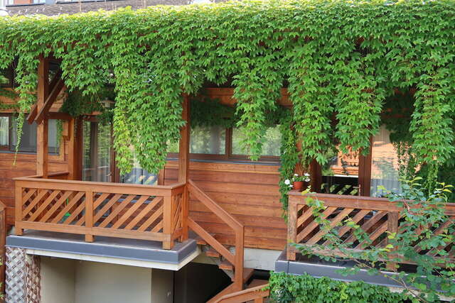 Гостевой дом Парк Шале Красная Поляна-213