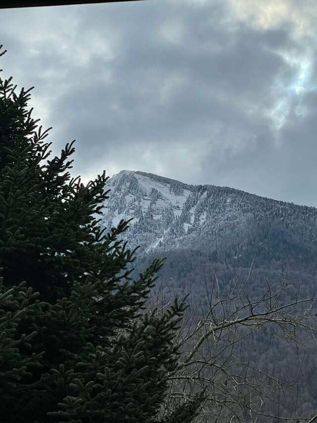 Гостевой дом Парк Шале Красная Поляна-250