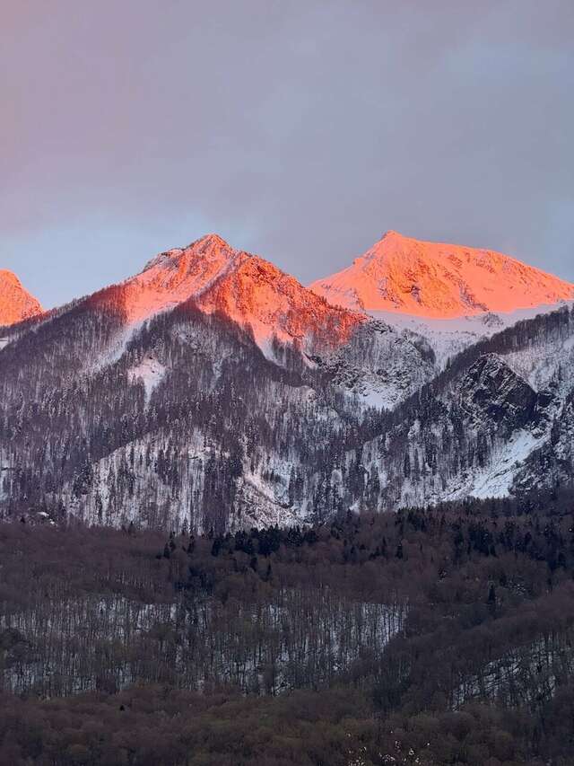 Гостевой дом Парк Шале Красная Поляна-170