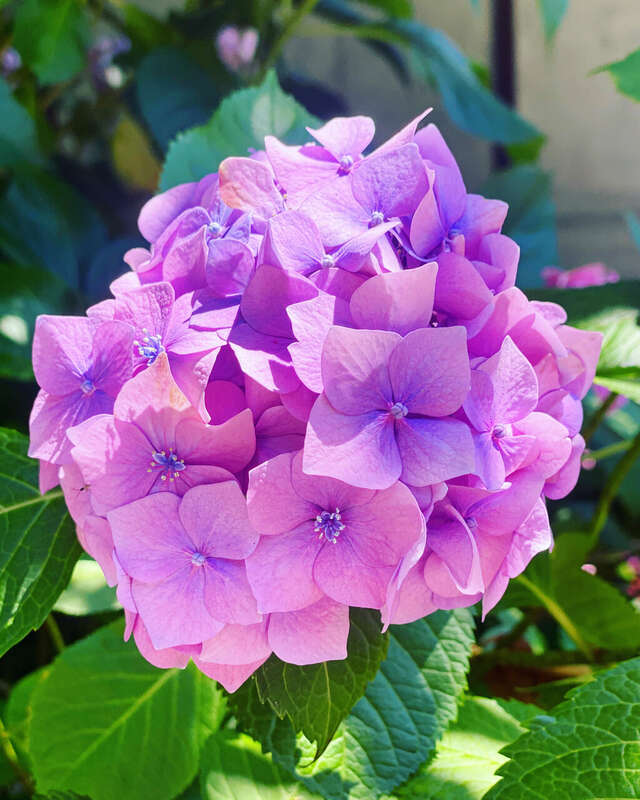 Гостевой дом Парк Шале Красная Поляна-144