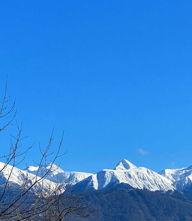 Гостевой дом Парк Шале Красная Поляна-215