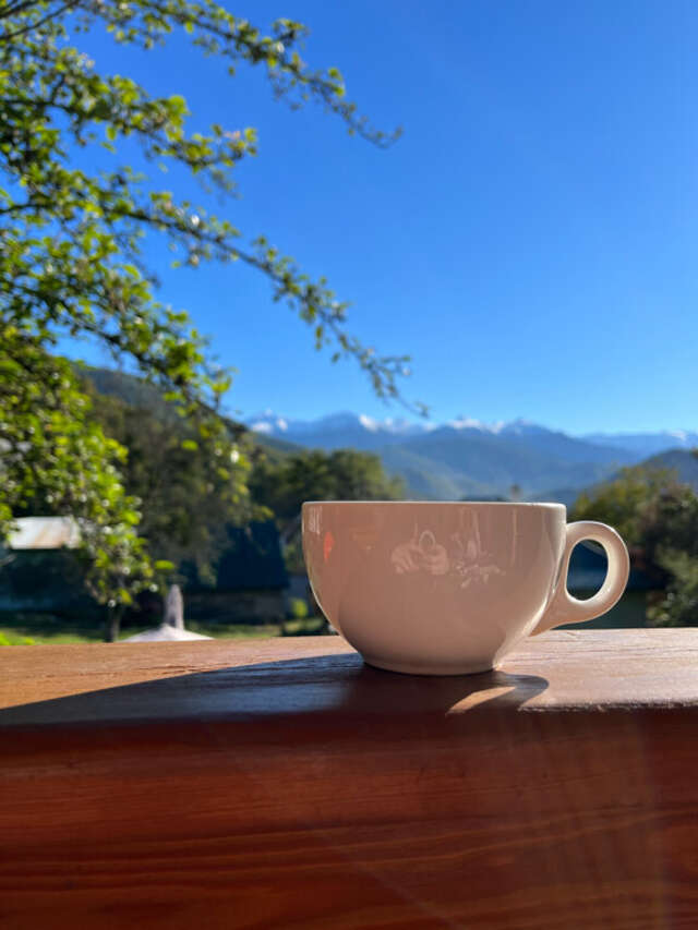 Гостевой дом Парк Шале Красная Поляна-158