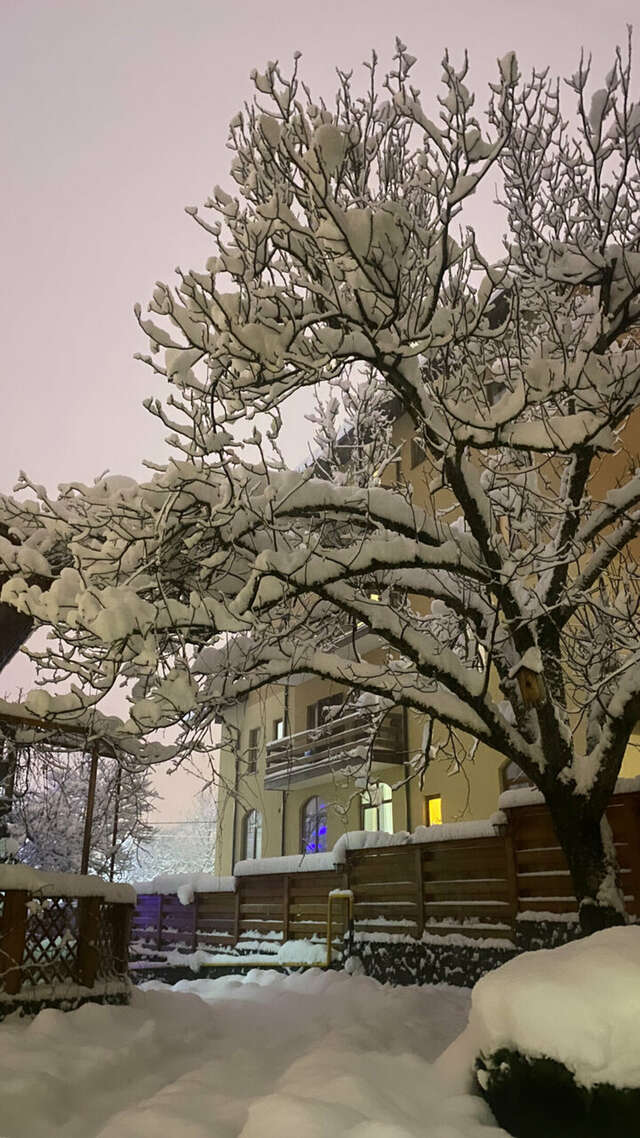 Гостевой дом Парк Шале Красная Поляна-217