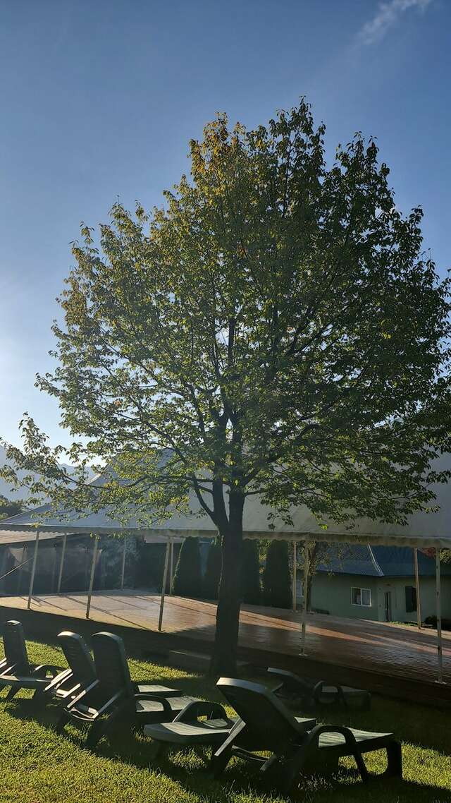 Гостевой дом Парк Шале Красная Поляна-200