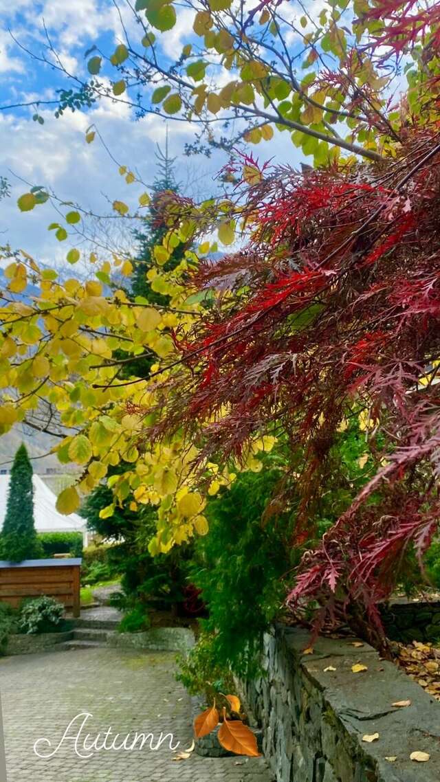 Гостевой дом Парк Шале Красная Поляна-125